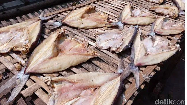 Ikan Asin Jambal