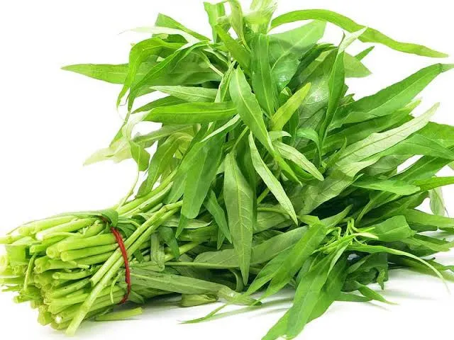 Kangkung