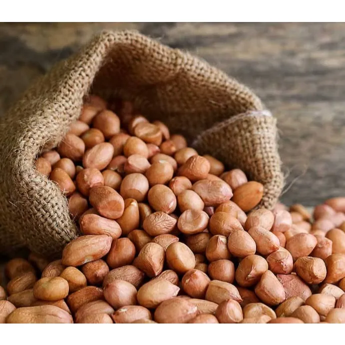 Kacang Tanah