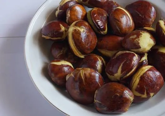 Jengkol